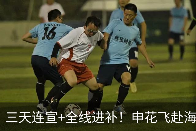 三天连宣+全线进补！申花飞赴海口启动新赛季