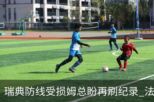 瑞典防线受损姆总盼再刷纪录 法国半场锁胜局?